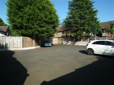 Picture 8